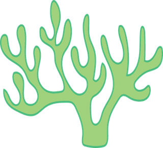seaweedset-of-underwater-seaweed-icons-on-white-background-751377