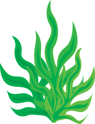 seaweedset-of-underwater-seaweed-icons-on-white-background-127185
