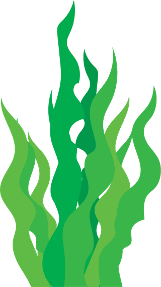 seaweedset-of-underwater-seaweed-icons-on-white-background-465540