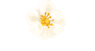 setillustrations-tropical-hibiscus-flowers-908202