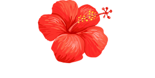 setillustrations-tropical-hibiscus-flowers-115609