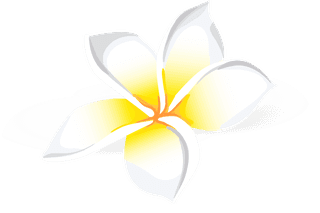 setillustrations-tropical-hibiscus-flowers-140402