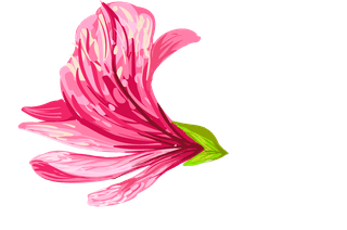 setillustrations-tropical-hibiscus-flowers-538396