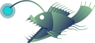 setof-angler-fish-that-you-can-use-for-your-project-488486
