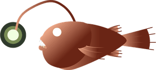 setof-angler-fish-that-you-can-use-for-your-project-580304
