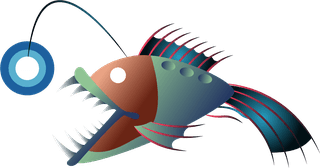 setof-angler-fish-that-you-can-use-for-your-project-797086