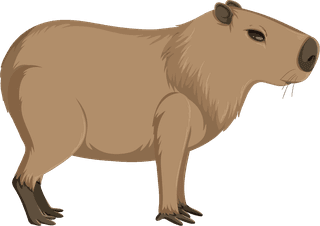 setof-different-capybara-in-cartoon-style-447339