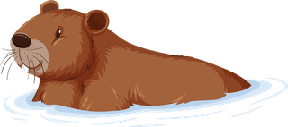 setof-different-capybara-in-cartoon-style-577913