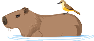 setof-different-capybara-in-cartoon-style-798070