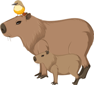 setof-different-capybara-in-cartoon-style-623011