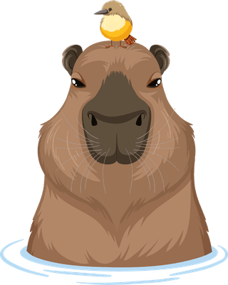 setof-different-capybara-in-cartoon-style-313643