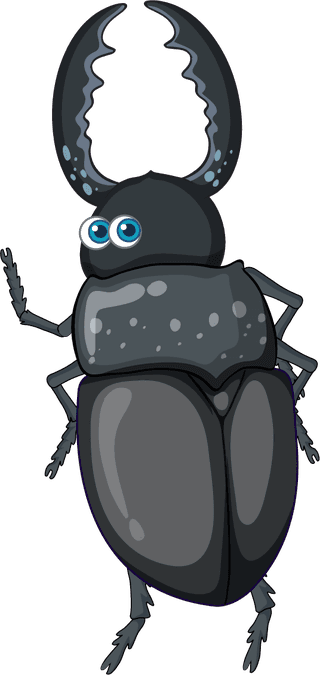 setof-different-insects-and-beetles-in-cartoon-style-649235