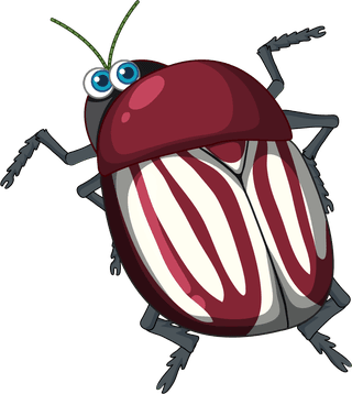 setof-different-insects-and-beetles-in-cartoon-style-843750