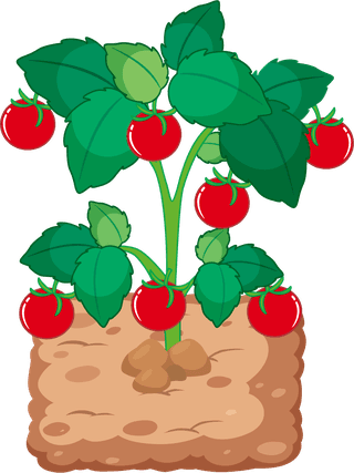 setof-garden-growing-elements-vector-illustration-358846