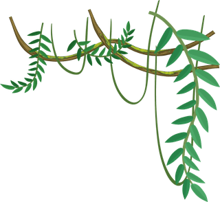 setof-jungle-element-illustration-686998