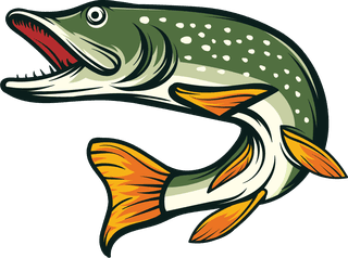 setof-pike-fish-vector-badge-logo-662768