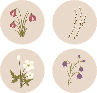 setof-spring-flowers-in-rounded-shape-562094