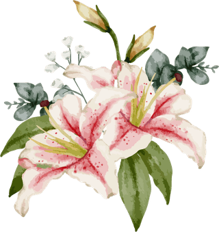 setseparate-parts-bring-together-beautiful-bouquet-flowers-water-colors-style-white-539883