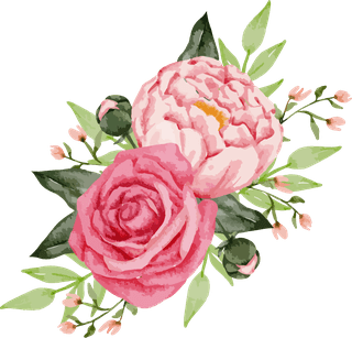 setseparate-parts-bring-together-beautiful-bouquet-flowers-water-colors-style-white-189308