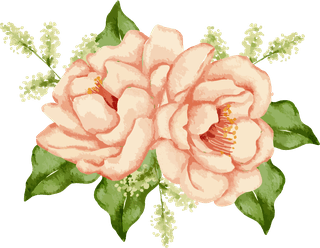 setseparate-parts-bring-together-beautiful-bouquet-flowers-water-colors-style-white-403236