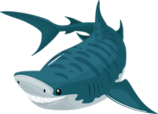 sharksharks-icons-motion-sketch-cartoon-design-613176