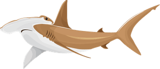 sharksharks-icons-motion-sketch-cartoon-design-688485