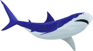 sharksharks-icons-motion-sketch-cartoon-design-435613