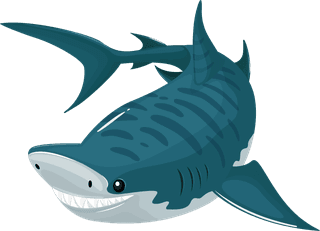 sharksharks-icons-motion-sketch-cartoon-design-747957