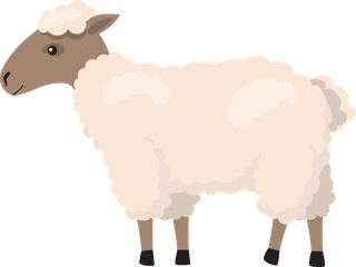 sheepcartoon-characters-horse-sheep-pig-goat-goose-donkey-isolated-505185