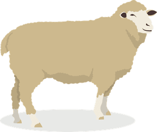 sheepfarm-animal-collection-flat-style-2055