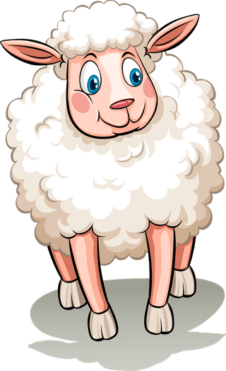 sheepfive-white-sheeps-808015