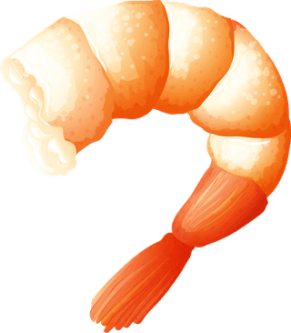 shrimpset-of-different-kinds-of-seafood-illustration-852624