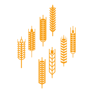 simplegolden-wheat-illustrations-elements-727588