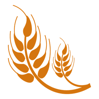 simplegolden-wheat-illustrations-elements-739381