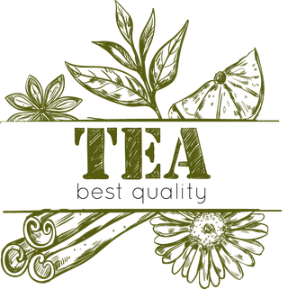 sketchtea-logo-set-569051