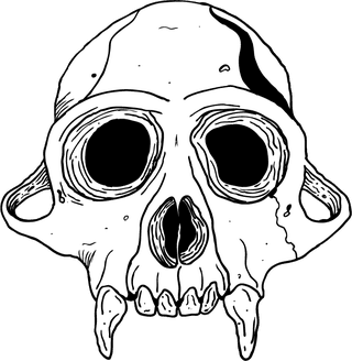 skulland-bones-terror-vectors-678847