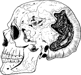 skulland-bones-terror-vectors-665503