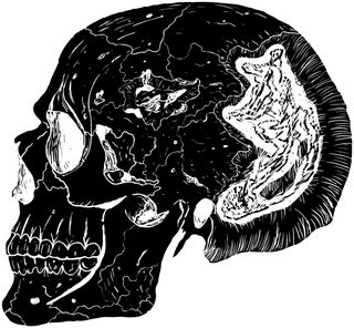 skulland-bones-terror-vectors-849327
