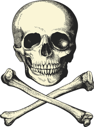 skullcappirate-skull-vector-line-art-488820