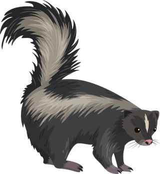 smallanimals-cute-funny-education-design-elements-skunk-warthog-rabbit-weasel-sketch-52376