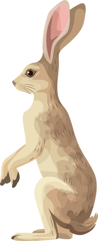 smallanimals-cute-funny-education-design-elements-skunk-warthog-rabbit-weasel-sketch-793960