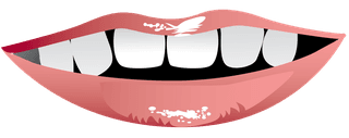 smilinglips-lips-set-317053