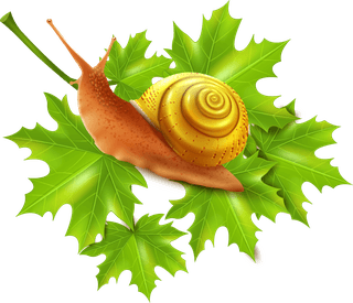 snailpest-control-icons-set-959633