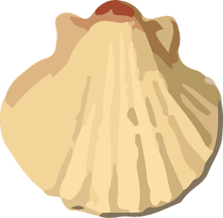 snailshell-seafood-crustacean-pattern-vector-979378