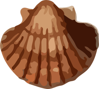 snailshell-seafood-crustacean-pattern-vector-118556