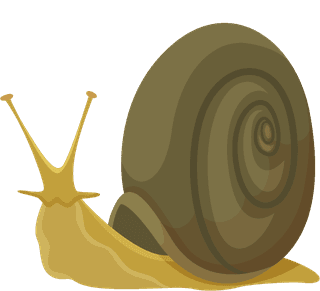 snailvecteezy-snails-characters-cartoon-insects-with-spiral-house-shell-973072