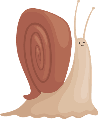 snailvecteezy-snails-characters-cartoon-insects-with-spiral-house-shell-901948