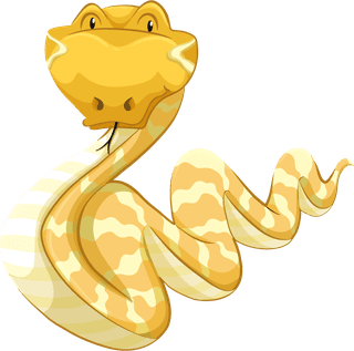 snakeset-wild-animals-892797