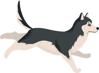 snobdog-cute-husky-dog-different-poses-flat-set-611193