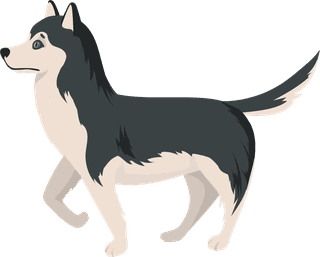 snobdog-cute-husky-dog-different-poses-flat-set-889369